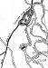 map-country-club-lake.jpg (35476 bytes)