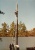 blfd-pole-work.jpg (27221 bytes)