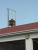 hs-siren.jpg (35066 bytes)