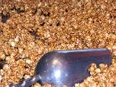 other-carmel-corn-1-edit