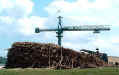 big-wood.jpg (46867 bytes)