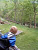 grandfather-mt-watching-bears.jpg (82319 bytes)