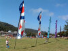 beech-mountain-kites.jpg (42717 bytes)