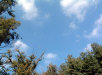view-through-sunroof.jpg (44704 bytes)