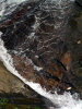 water-up-close.jpg (65081 bytes)