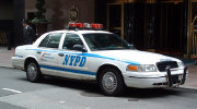 pd-crown.jpg (43030 bytes)