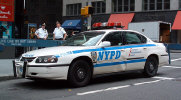 pd-impala.jpg (47241 bytes)