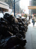 trash.jpg (65580 bytes)