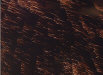fireworks5.jpg (62451 bytes)
