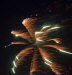 fireworks7.jpg (59064 bytes)
