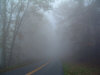 parkway-fog1.jpg (43301 bytes)