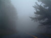 parkway-fog2.jpg (29835 bytes)