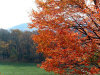 parkway-view3.jpg (87443 bytes)