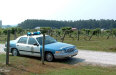 plane7.jpg (39770 bytes)