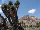 05-01-1-vegas-044