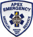 apex-ems.jpg (16238 bytes)