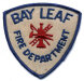 bay-leaf-old.jpg (50188 bytes)